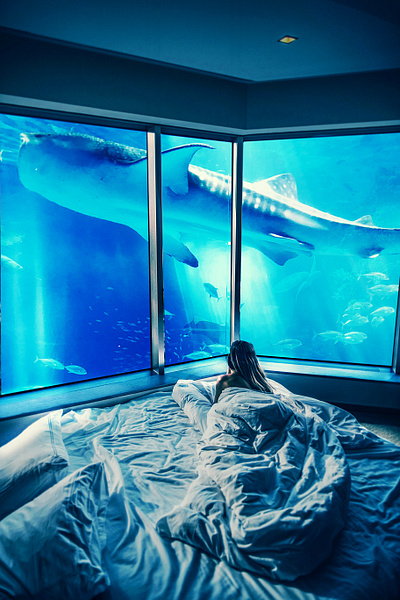 Underwater Views composition design graphic design manipulation