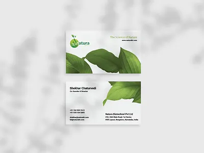 Natura Business Collateral brand design brand identity branding brandmarketing businesscollatrel design designoftheweek designrevamping logo minimal thedesigndistrikt visual identity