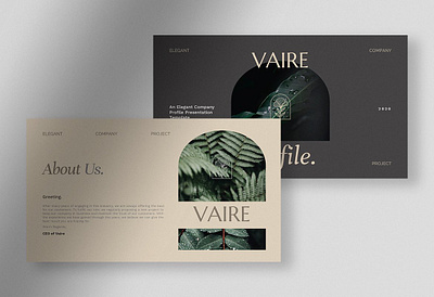 Vaire - Elegant Company Profile PPT #2 app branding design graphic design illustration logo typography ui ux vector