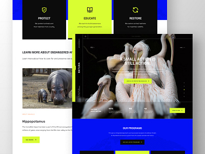 NATURA - Animal Preservation Landing Page animal care design graphic design homepage landing page nature ui uiux user interface web website wildlife