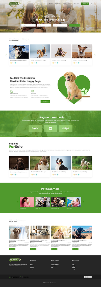 Pets Dating branding dating design illustration layout logo pets pets dating template theme ui uiux web design
