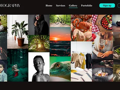 Portfolio website branding design ui ui ux ux