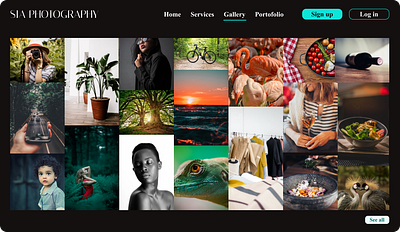 Portfolio website branding design ui ui ux ux