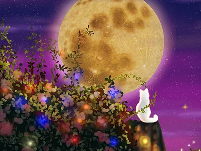 My enchanted moon design digital art enchanted world fantasy art graphic design illustration illustrator magical creatures