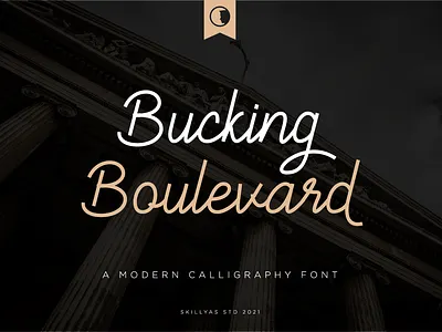 Bucking Boulevard Font art branding design graphic design illustration illustrator logo script font ui ux vector