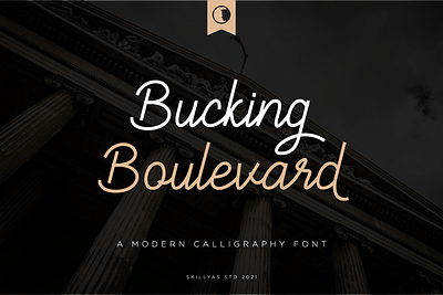 Bucking Boulevard Font art branding design graphic design illustration illustrator logo script font ui ux vector
