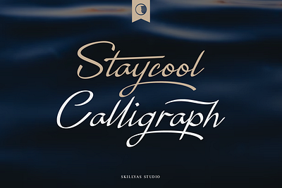 Staycool Calligraph Modern Script Font art branding design graphic design illustration logo signature ui ux vector