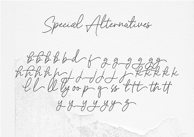 WhiteDay Handwriting Script Font elegant font font hand written font logo font luxury font script font signature font simplicity