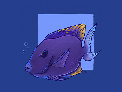 Tang digital art fish illustration tang