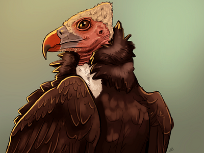 Avian August - Vulture bird digital art illustration vulture