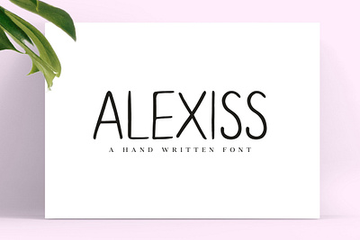 Alexiss Sans Serif Font brand identity font logo font