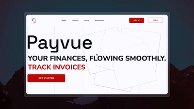 Payvue - Personal finance tracking SaaS platform. animation motion graphics saas ui ux web design