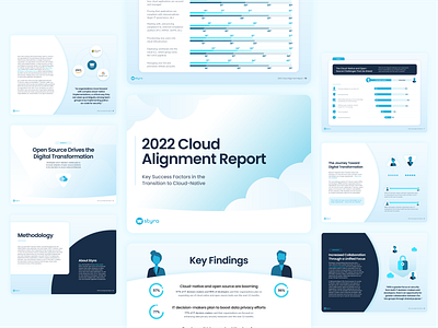 Cloud Report branding cloud design graphic design illustration layout report