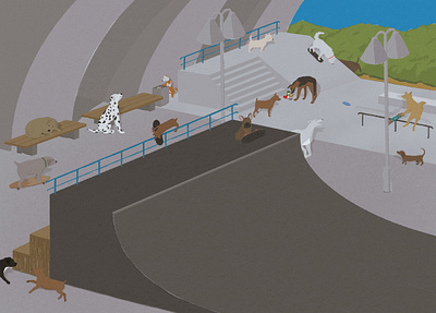 skate skate party adventures illustration pictures
