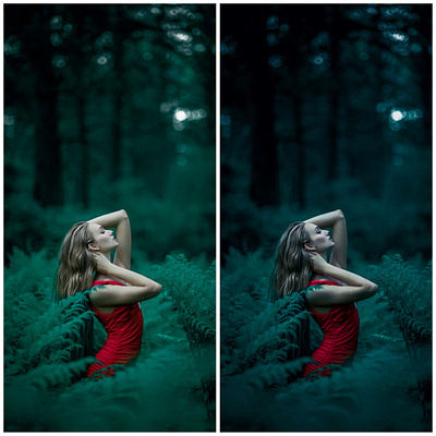 Photo Retouched edit Series #12 "Forest Scene Model" art