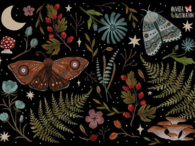 Moondust Botanical print for handmade sketchbooks animal art artist botanical butterfly draw illustration moon mushroom nature sketchbooks