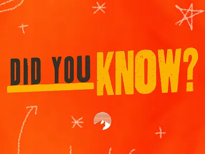 Instagram Graphic design graphic design nonprofit social media