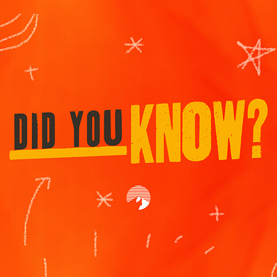 Instagram Graphic design graphic design nonprofit social media