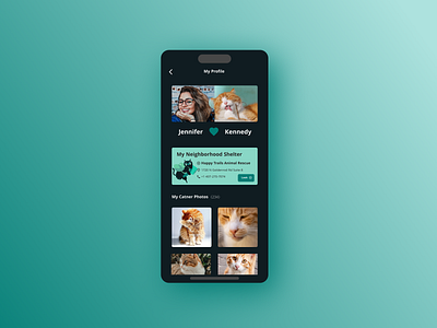 User Profile for Catner.io app illustration ui ux