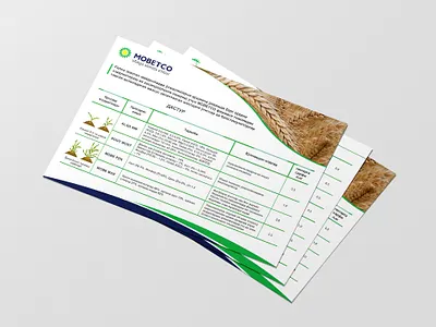 plant growth branding brendbook design flayer graphic design vector