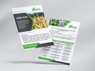 flayer brendbook brending design graphic design illustration