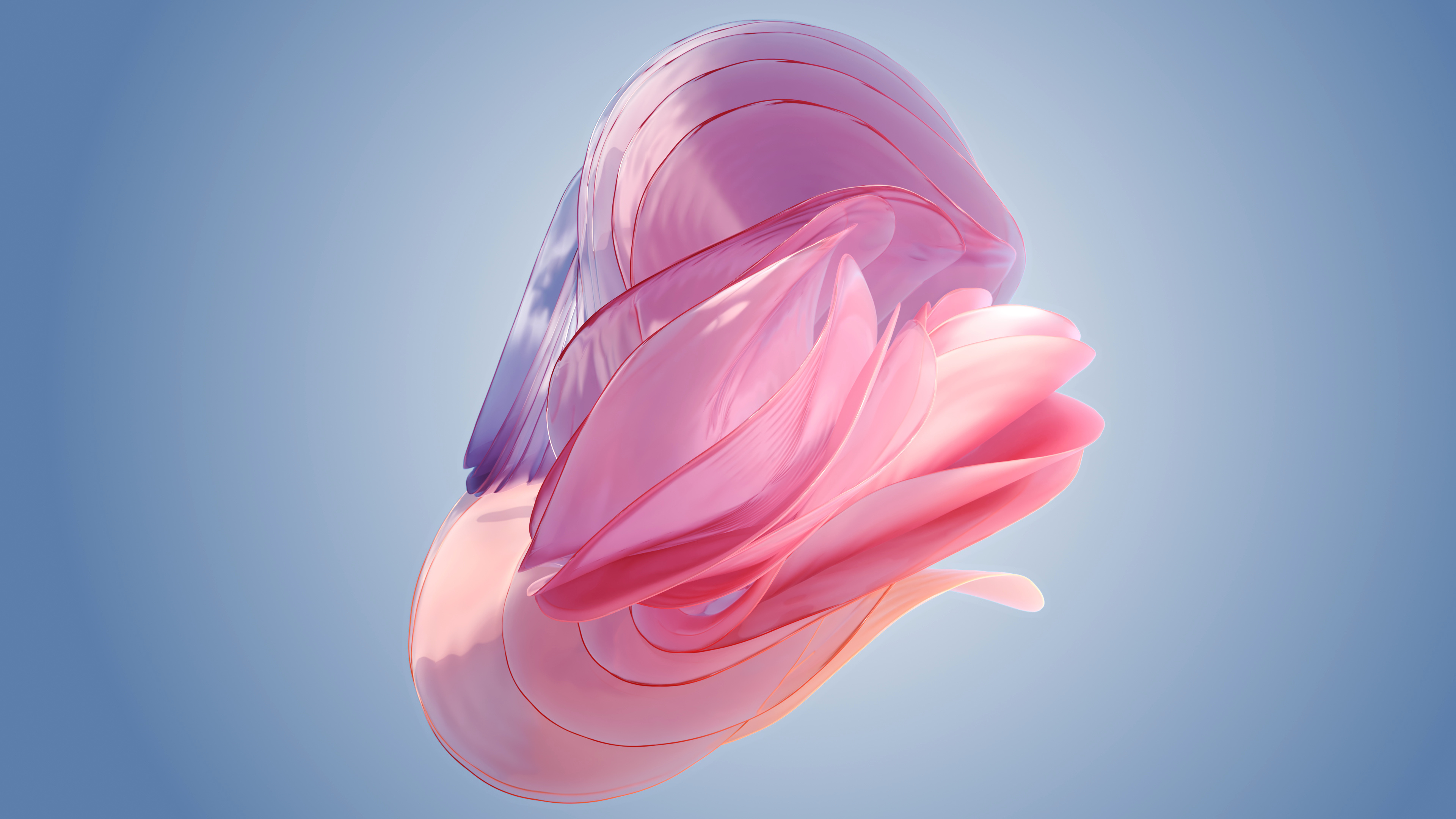 Example of 3D Abstract Petals