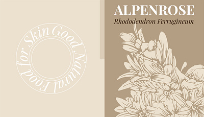 MY CLARINS Ingredient Illustration design graphic design illustration