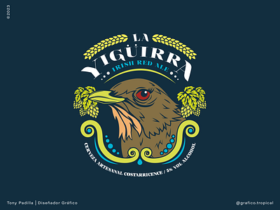 La Yugüirra aves beer beer label bird bird illustration cerveza clay colored thrush costa rica design designer etiqueta de cerveza grafico tropical graphic design illustration label national bird of costa rica vector illustration yiguirra yiguirro