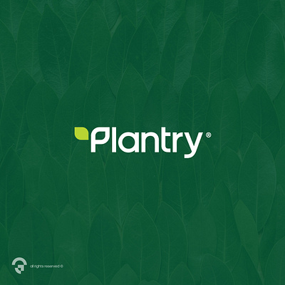 Winning Desing for Plantry, a plant based food company. branding clean design graphic design logo minimalist modern