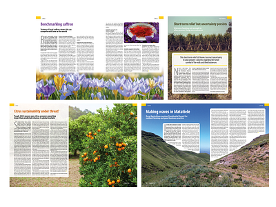Layout design for Harvest SA magazine design editorial editorialdesign freelacer freelancedesign graphic design graphicdesigner layout magazine magazinelayout
