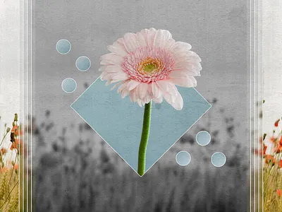 Digital Art: Bloom II abstract abstract art abstractart adobe adobe photoshop adobephotoshop art bloom design digital digital art digitalart flower flowers graphic graphic design graphicdesign graphics photoshop photoshop cc