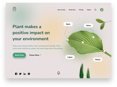 Landing Page Design Practice nature ui ux web design website design