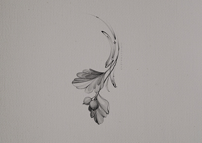 gooseberry abstraction botanical floral graphic illustration