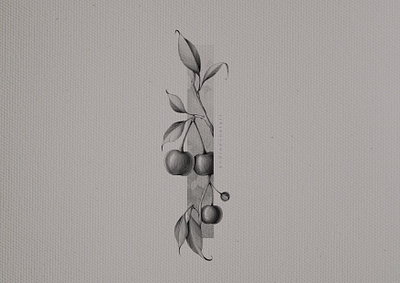 Cherry botanical floral graphic illustration