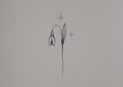 snowdrop botanical floral graphic illustration procreate