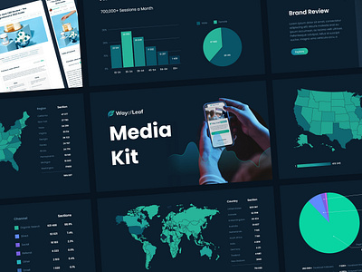 Media Kit Dark advertising brand branding business data design diagram graphic graphic design infographic media kit offer research social media statistics ui ui kit user ux web