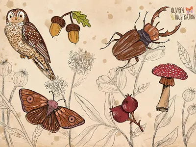 Forest animals illustration animals art artist book illustration botanical botany butterfly children illustration draw forest illustration illustrator moth mushroom nature owl