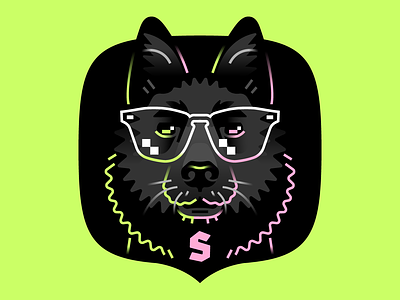Sirius the Schipperke character design dog flat illustration portrait schipperke simple stolz vector