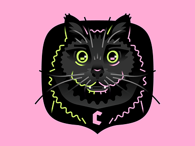 Charlie the Cat cat character flat illustration portrait simple stolz vector