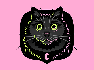 Charlie the Cat cat character flat illustration portrait simple stolz vector
