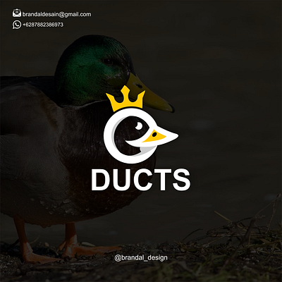 Ducts logo concept branding design duck graphic design illustration logo motion graphics typography ui ux vector