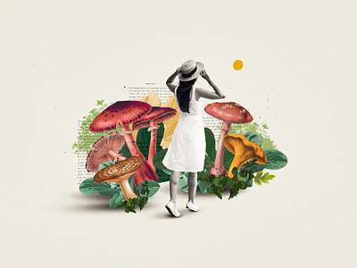 Mushrooms alice collage collage art collage digital collage maker collageart design fantasy graphic graphicdesign illustration magic mushroom nature wonderland