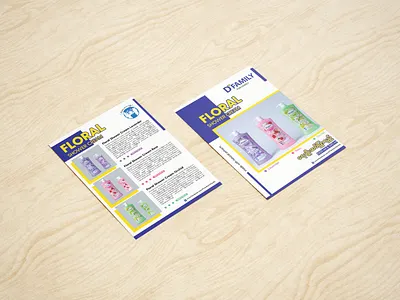 Flyer Design (6inx8in) bodywash branding cosmetic design flyer graphic design leaflet pamphlet printing