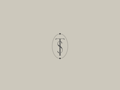 The Sully Team II branding design graphic design illustration logo