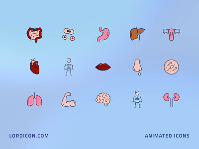 Human Body Icon Group animation design icon