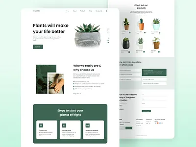 Responsive Website - plantes design frontend frontend developer graphic design ui