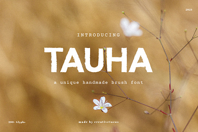 Tauha Handmade Brush Font brush font handmade font support multilingual