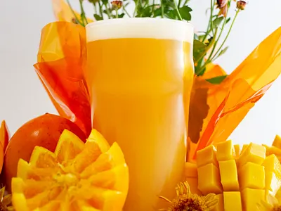 Bravo! Bravo! - Product Photography beer beer art branding craft beer design fall flower inspiration liquid orange photo photography photoshop picture portrait product photography psd