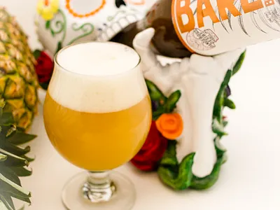 Dangerous Desire - Product Photography art beer beer art brand brand design brand identity branding craft beer design photo photography photoshop product product photography visual identity