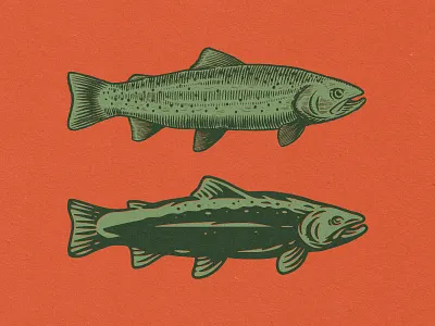 Trout Exploration bold branding colorado design drawing fish graphic design icon illustration nature outdoors process rei trout vector vintage